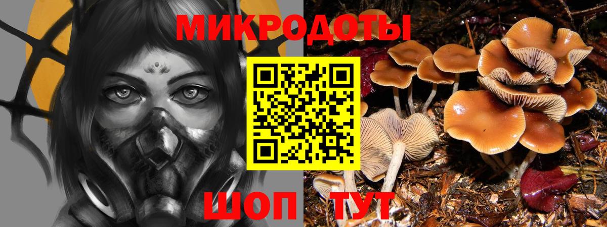 где продают наркотики  Вход с VPN  Протвино  Псилоцибиновые грибы мухоморы 